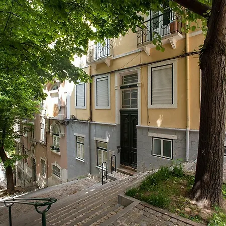 Liverpool Tree Apartment Lisbon